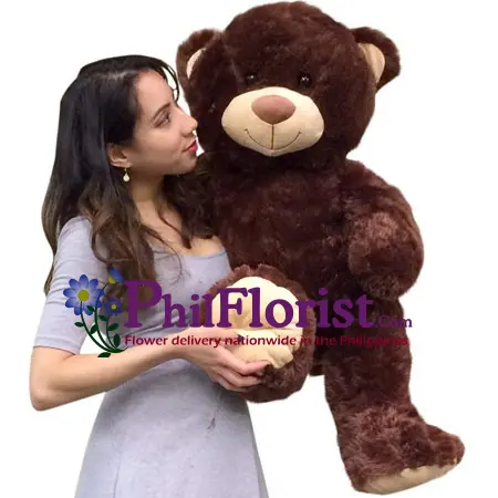 2 Feet Dark Brown Color Teddy Bear To philippines