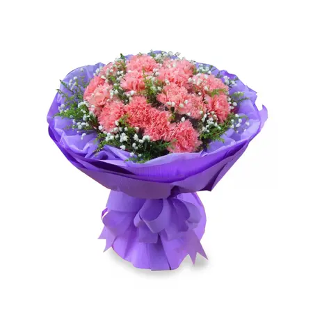 24 Pink Carnations in Bouquet