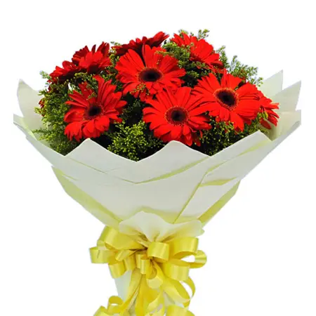 8pcs. Red Gerberas in a Bouquet