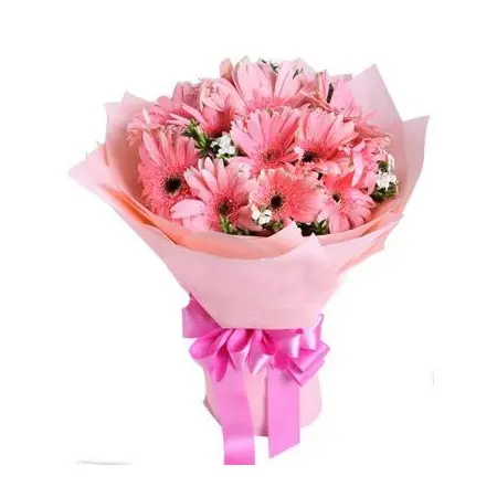 12 Pink Gerbera in a Bouquet Send to Philippines