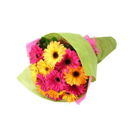 12 Pink and Yellow Gerberas